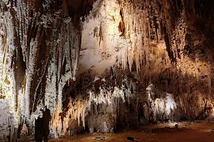 Carlsbad Caverns National Park image
