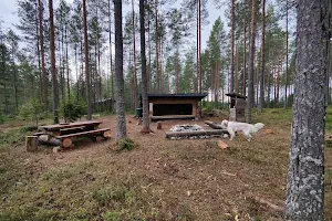 Oulu Dog Forest image