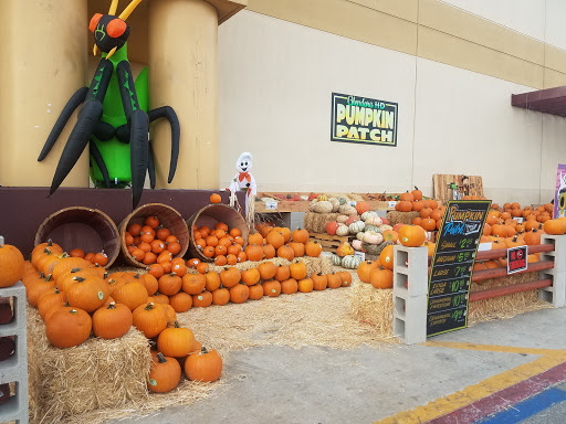 Home Improvement Store «The Home Depot», reviews and photos, 1305 S Lone Hill Ave, Glendora, CA 91740, USA