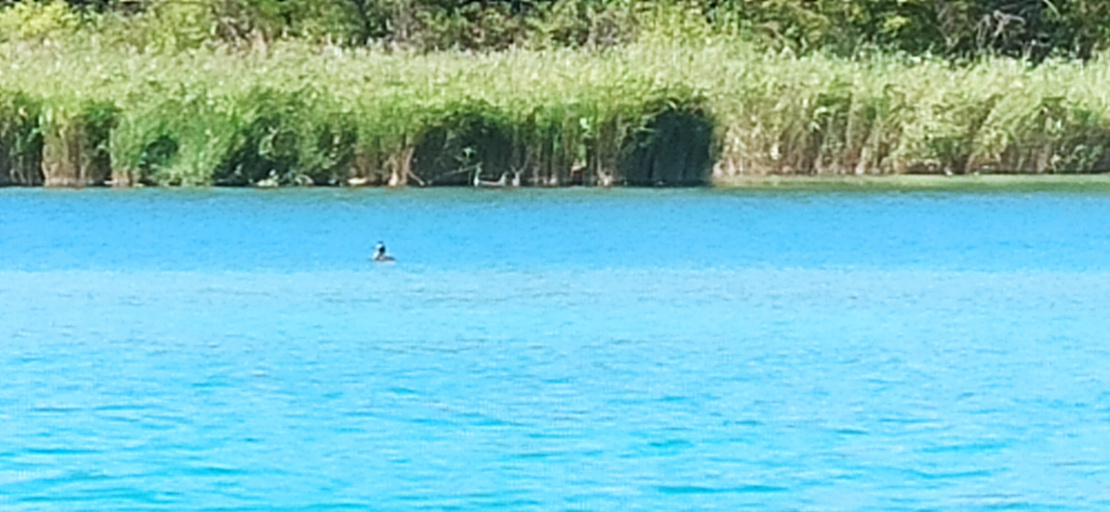 Photo n° 8 de l'avis de Frédéric.a fait le 30/07/2023 à 17:24