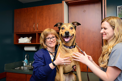Family Pet Animal Hospital, A Thrive Pet Healthcare Partner