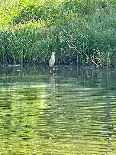 Park «Indian Boundary Park», reviews and photos, 2500 W Lunt Ave, Chicago, IL 60645, USA