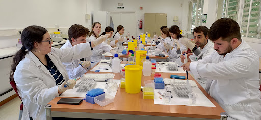 Forensic medical schools Seville