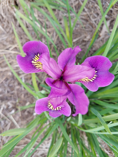 Pet Supply Store «Mini Pet Mart», reviews and photos, 815 S Broadway, Coos Bay, OR 97420, USA