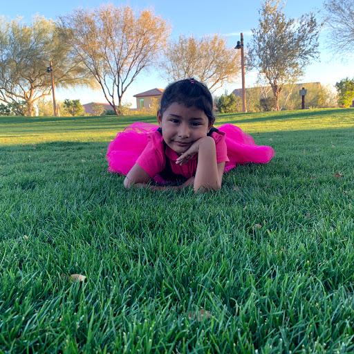 Community Center «The Homestead Community Center», reviews and photos, 18600 N 98th St, Scottsdale, AZ 85255, USA