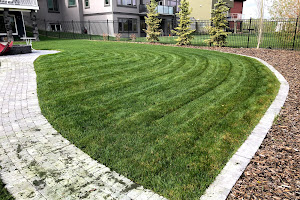 Sunlake Landscaping & Lawn Care