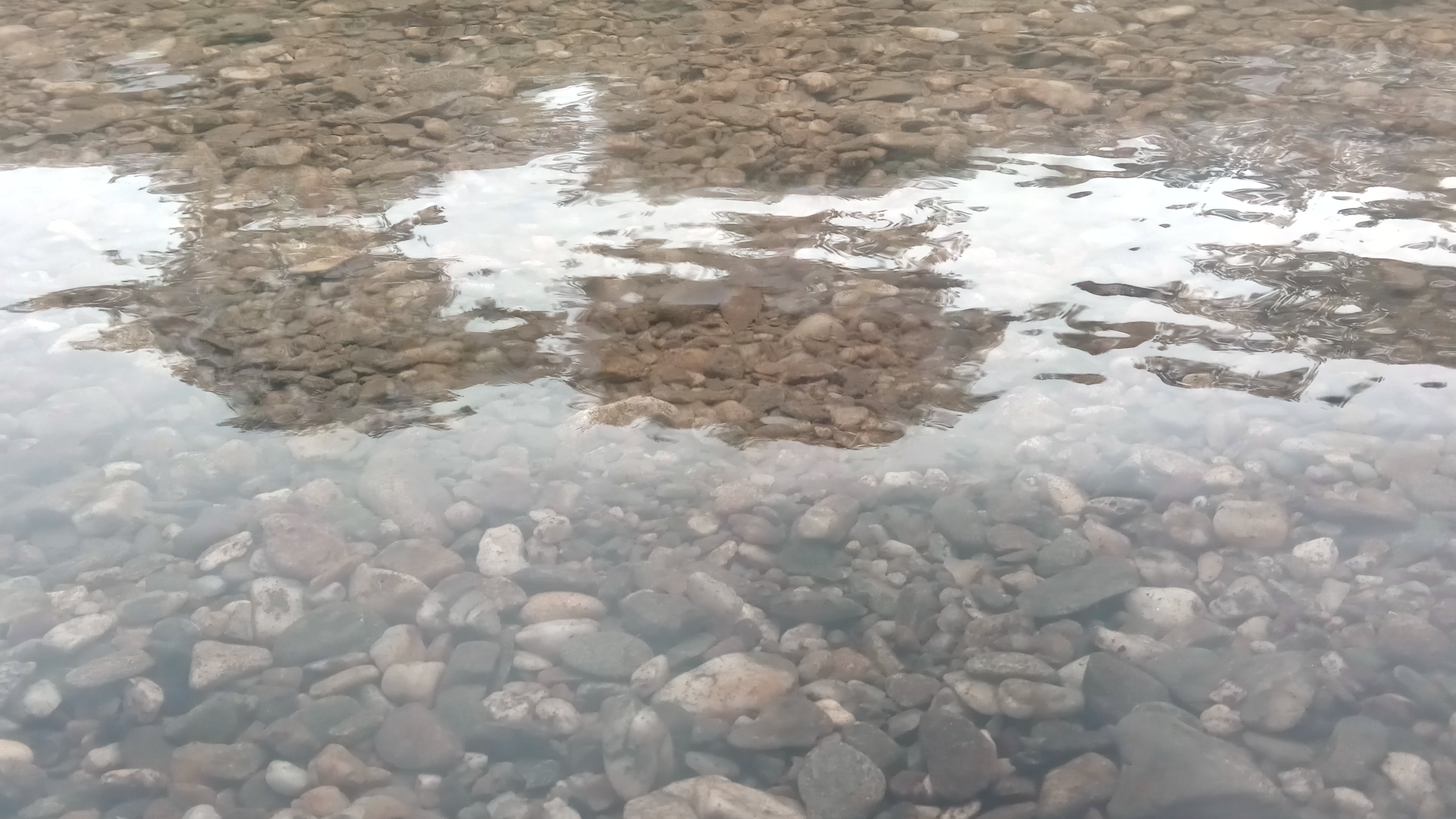 Photo n° 16 de l'avis de Dhennin.a fait le 17/08/2020 à 12:09