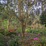 Photo n°2 de l'avis de Jo.a fait le 10/03/2023 à 21:37 sur le  Solar Do Conde à Capelas