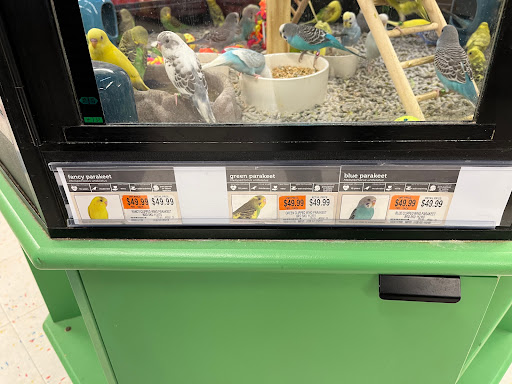 Pet Supply Store «PetSmart», reviews and photos, 5 Mystic View Rd, Everett, MA 02149, USA