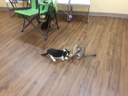 Pet Supply Store «PetPeople», reviews and photos, 3330 Washtenaw Ave, Ann Arbor, MI 48104, USA