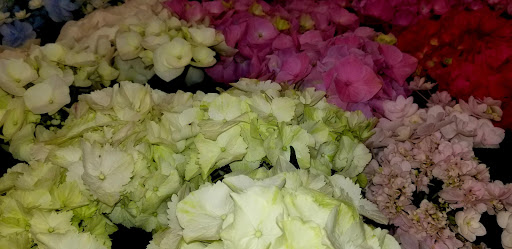 Coffee Shop «Starbucks», reviews and photos, 406 N Main St, Sebastopol, CA 95472, USA