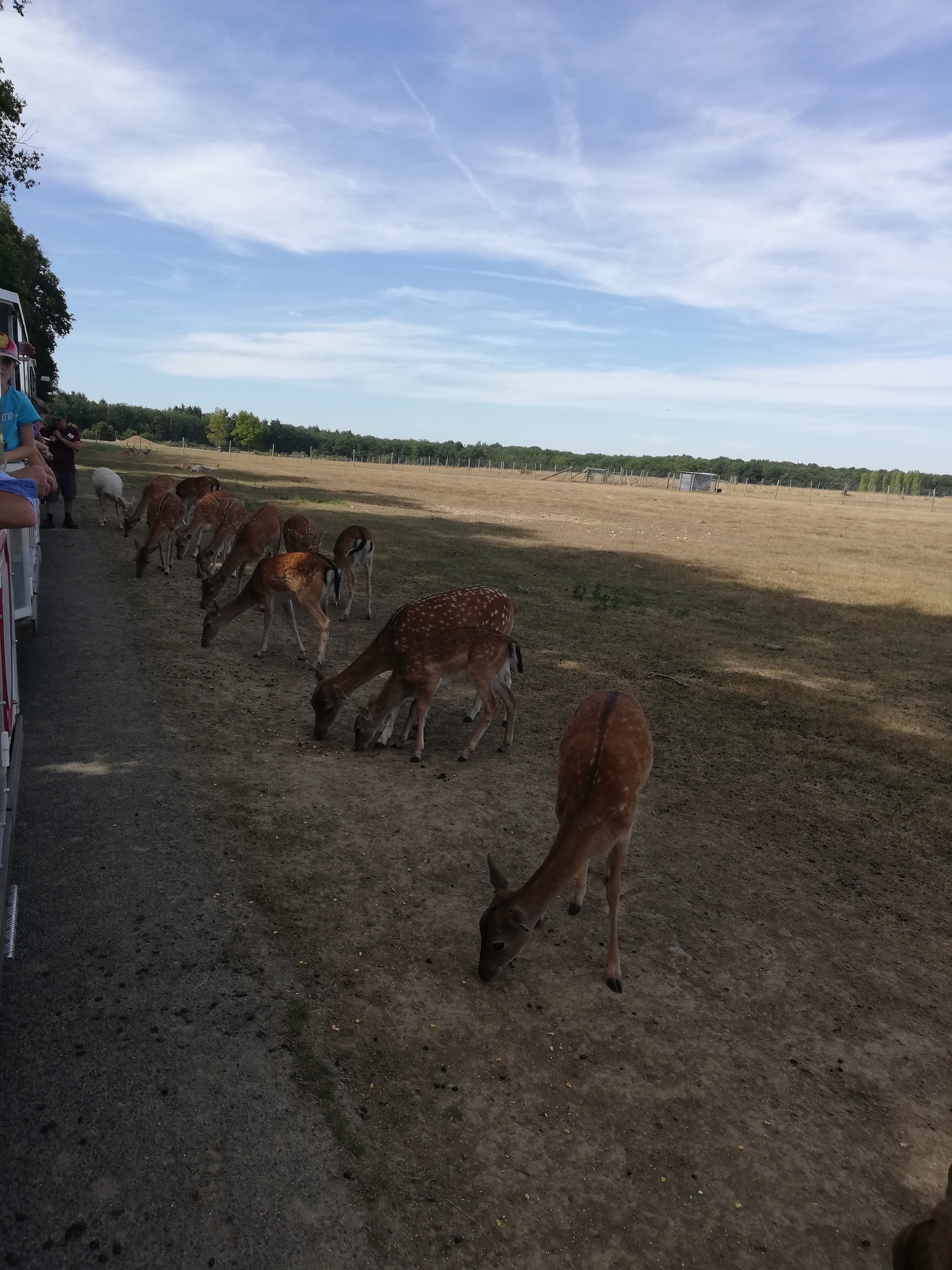 Photo n° 25 de l'avis de Severine.e fait le 23/08/2019 à 23:18