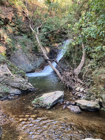 El Salto de Agua.