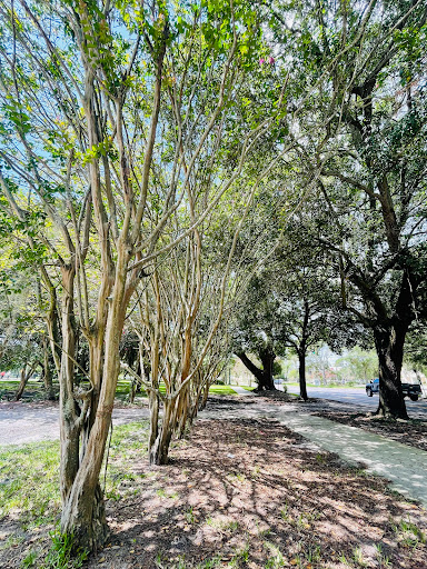 Park «Riverside Park», reviews and photos, 753 Park St, Jacksonville, FL 32204, USA