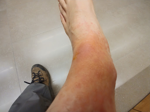 Información y opiniones sobre Farmacia Alcocer Saz de Pamplona