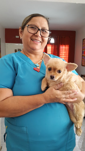 Marlenes Grooming - Tienda de Mascotas, Peluqueria Canina y Clinica Veterinaria
