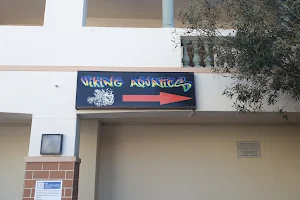 Viking Aquatics image