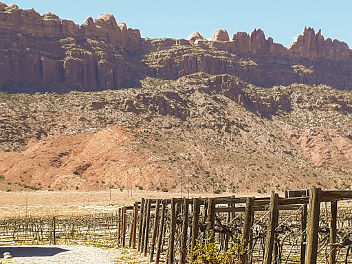 Winery «Spanish Valley Vineyard & Winery», reviews and photos, 4710 Zimmerman Ln, Moab, UT 84532, USA