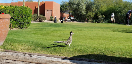 Country Club «Red Mountain Ranch Country Club», reviews and photos, 6425 E Teton Cir, Mesa, AZ 85215, USA