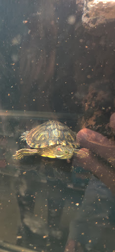 Pet Supply Store «Petco Animal Supplies», reviews and photos, 31419 Pacific Hwy S, Federal Way, WA 98003, USA