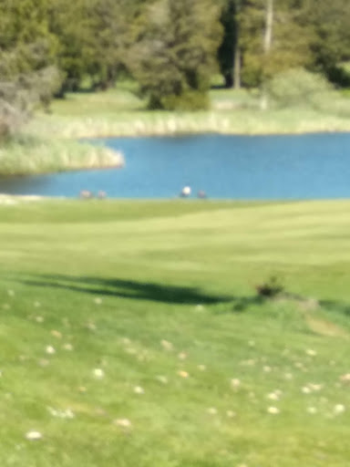 Golf Course «LakeLand Village Golf Course/Pro Shop», reviews and photos, 200 E Old Ranch Rd, Allyn, WA 98524, USA