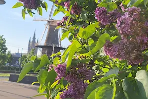 Delft Windmill de Roos image