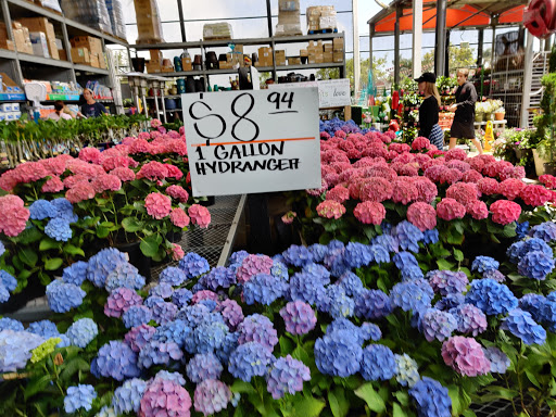 Home Improvement Store «The Home Depot», reviews and photos, 3555 Sports Arena Blvd, San Diego, CA 92110, USA