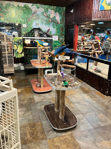 Pet Store «Pet Kingdom», reviews and photos, 4650 S Cleveland Ave, Fort Myers, FL 33907, USA