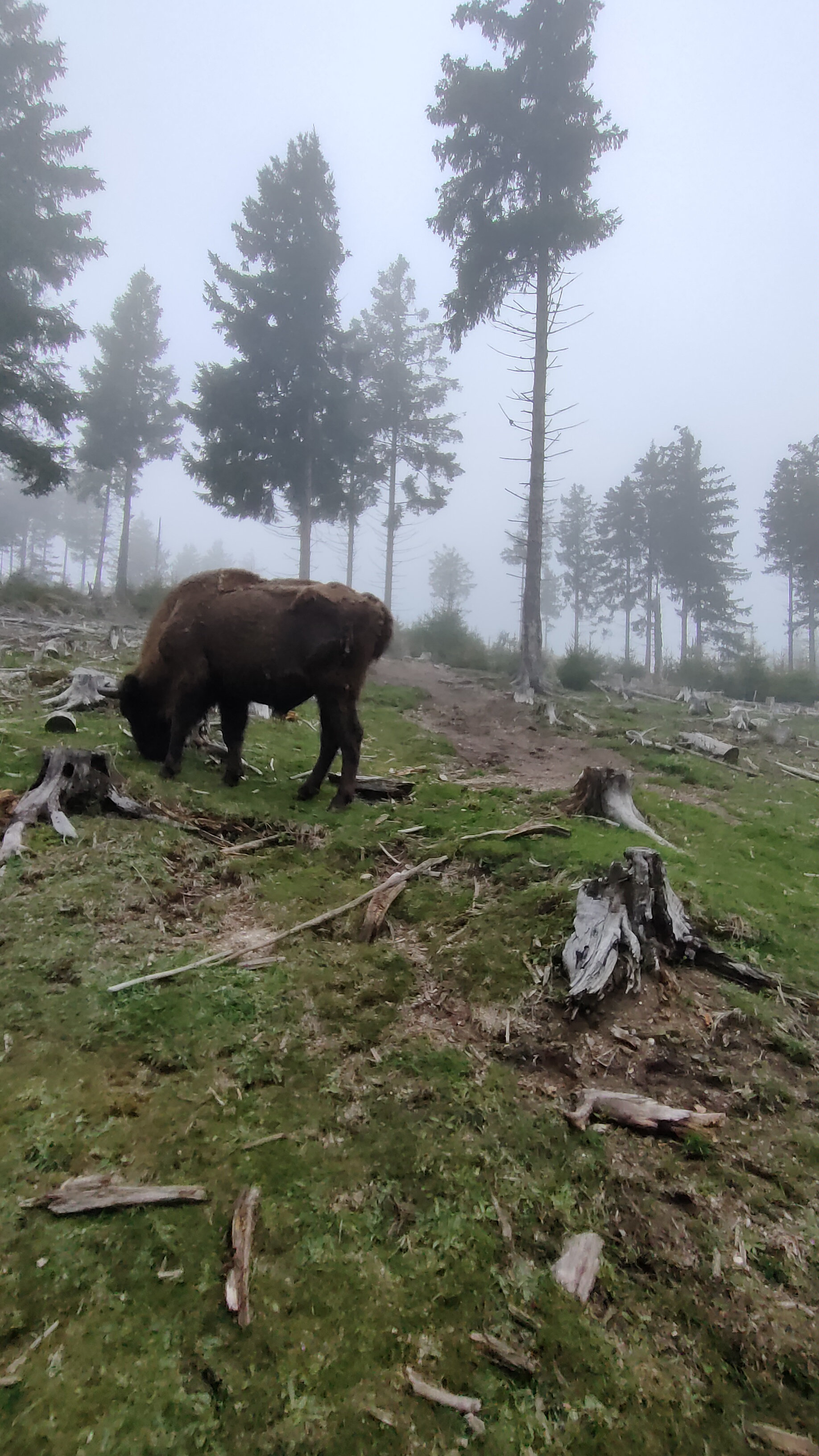 Photo n° 3 de l'avis de Wilfried.O fait le 25/05/2023 à 11:53