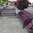 Purple Benches