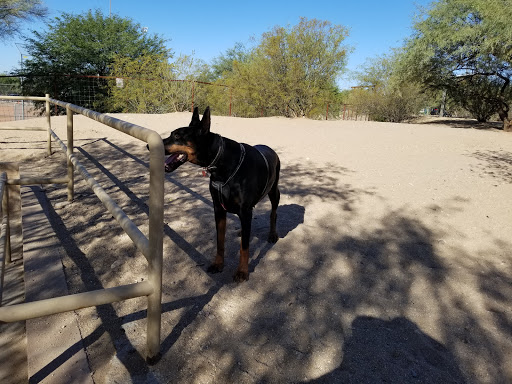 Smiling Dog Ranch Dog Park