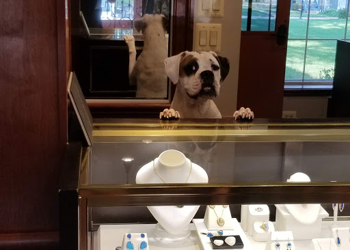 Jeweler «Adeler Jewelers», reviews and photos, 772 Walker Rd, Great Falls, VA 22066, USA