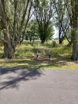 Acacia Reservation - photo 95