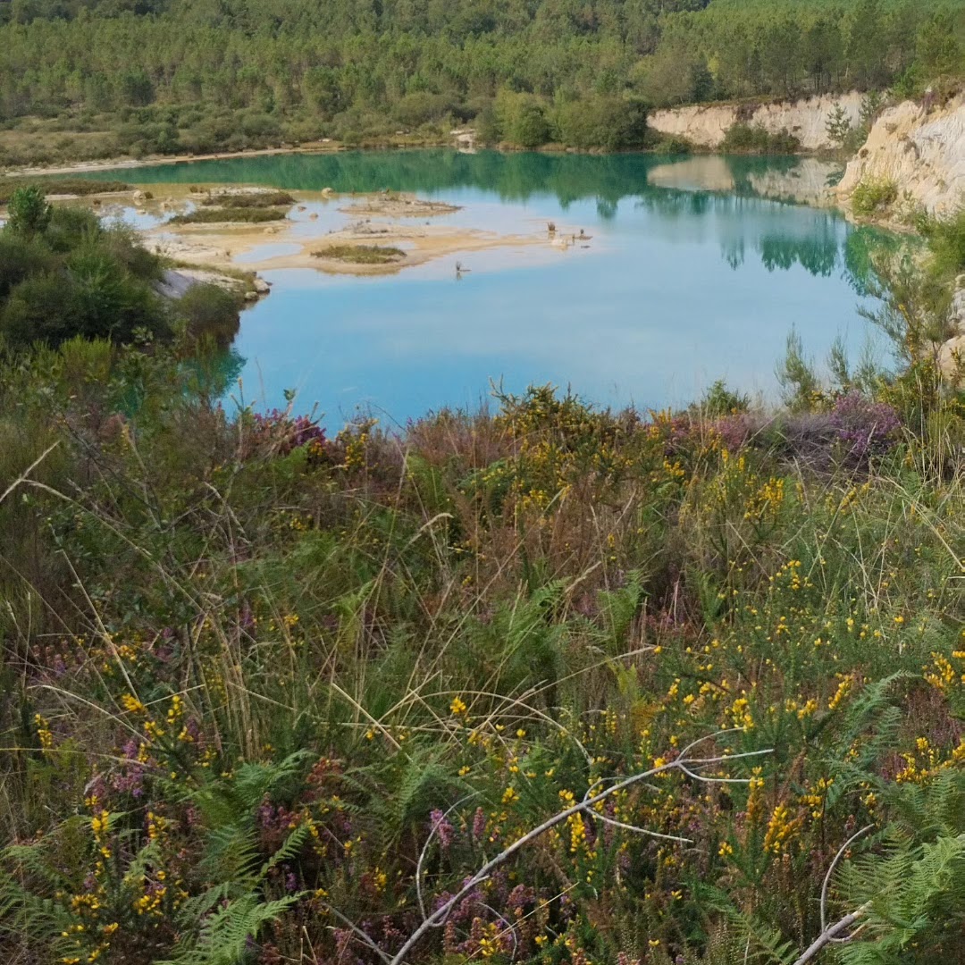Photo n° 9 de l'avis de Gwlad.o fait le 16/08/2023 à 10:31