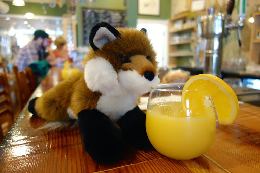 Book Store «Scuppernong Books», reviews and photos, 304 S Elm St, Greensboro, NC 27401, USA