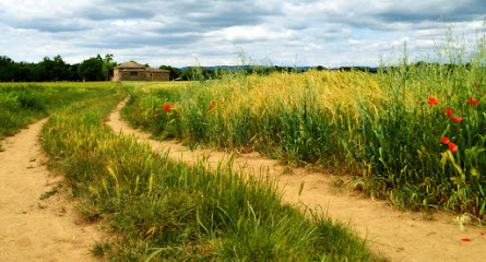 LOS SENDALES AGROPECUARIA