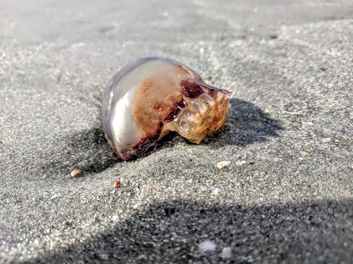 Fishing Pier «The Pier At Garden City», reviews and photos, 110 S Waccamaw Dr, Murrells Inlet, SC 29576, USA