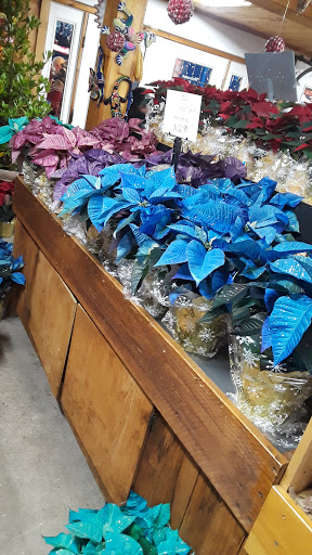 Produce Market «Level Acres Farm», reviews and photos, 353 Highland Ave, Attleboro, MA 02703, USA