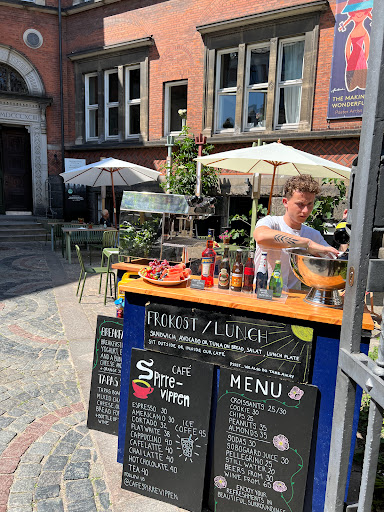 Café spirrevippen in Copenhagen, Frederiksberg