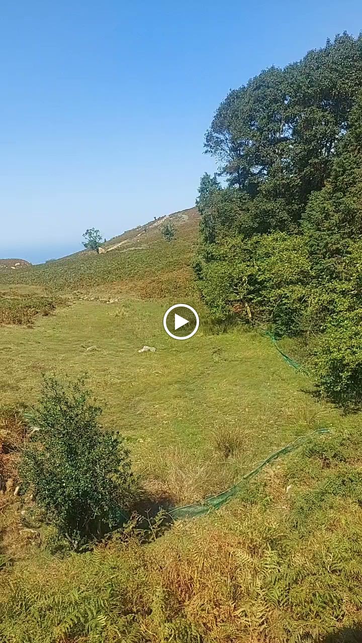 Photo n° 7 de l'avis de cameoz.a fait le 08/09/2023 à 16:43