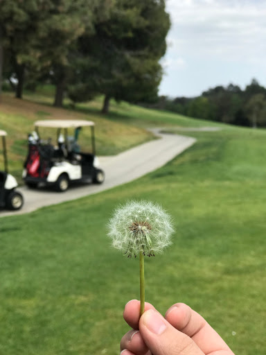 Public Golf Course «Mountain Meadows Golf Course», reviews and photos, 1875 Fairplex Dr, Pomona, CA 91768, USA