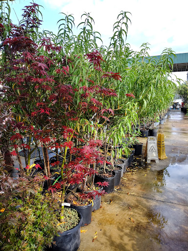 Hardware Store «Hagan Ace Hardware», reviews and photos, 6567 US-90, Glen St Mary, FL 32040, USA