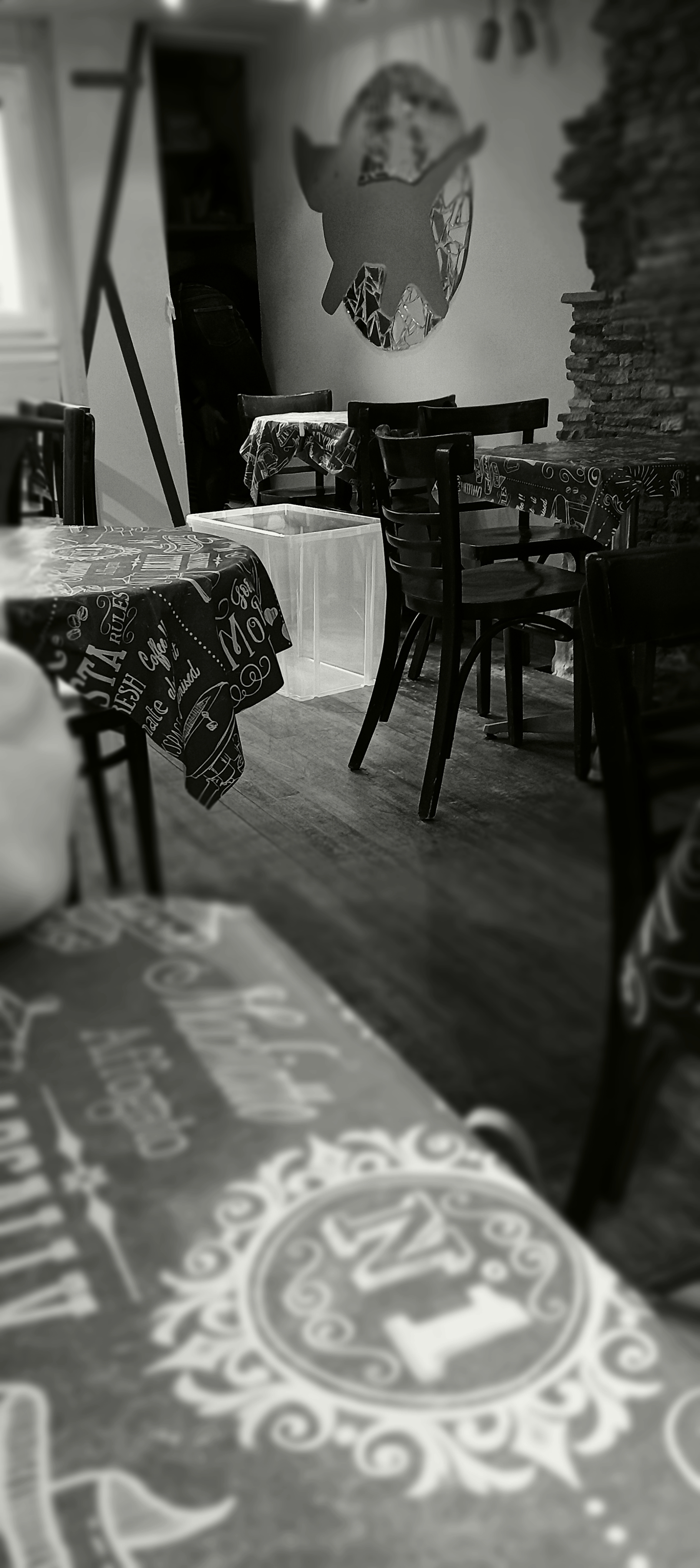 Photo n° 2 de l'avis de lo. fait le 21/11/2023 à 19:19
