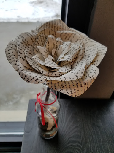 Book Store «Bookbug - An Independent Bookstore for All Ages», reviews and photos, 3019 Oakland Dr, Kalamazoo, MI 49008, USA