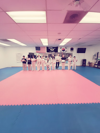 JT Taekwondokarate kickboxing and fitness image