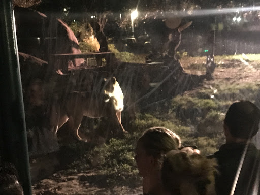 Zoo «Houston Zoo - West Gate», reviews and photos, 1467 Cambridge St, Houston, TX 77030, USA