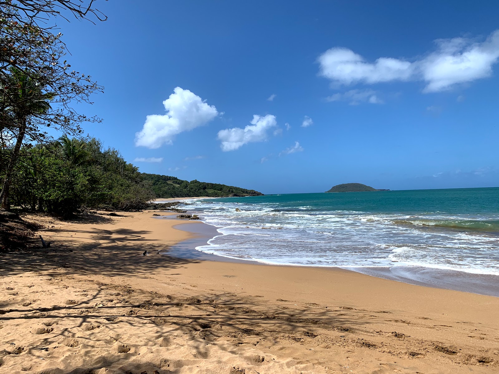 Photo de Plage de Cluny II avec l'eau cristalline de surface