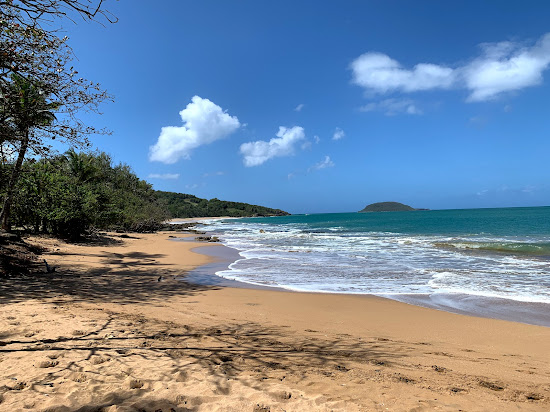 Plage de Cluny II