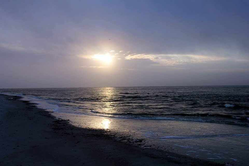 Solari Massage and Wellness 32626