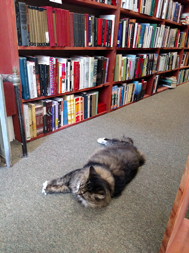 Used Book Store «Downtown Books Bought & Sold», reviews and photos, 624 N Broadway St, Milwaukee, WI 53212, USA